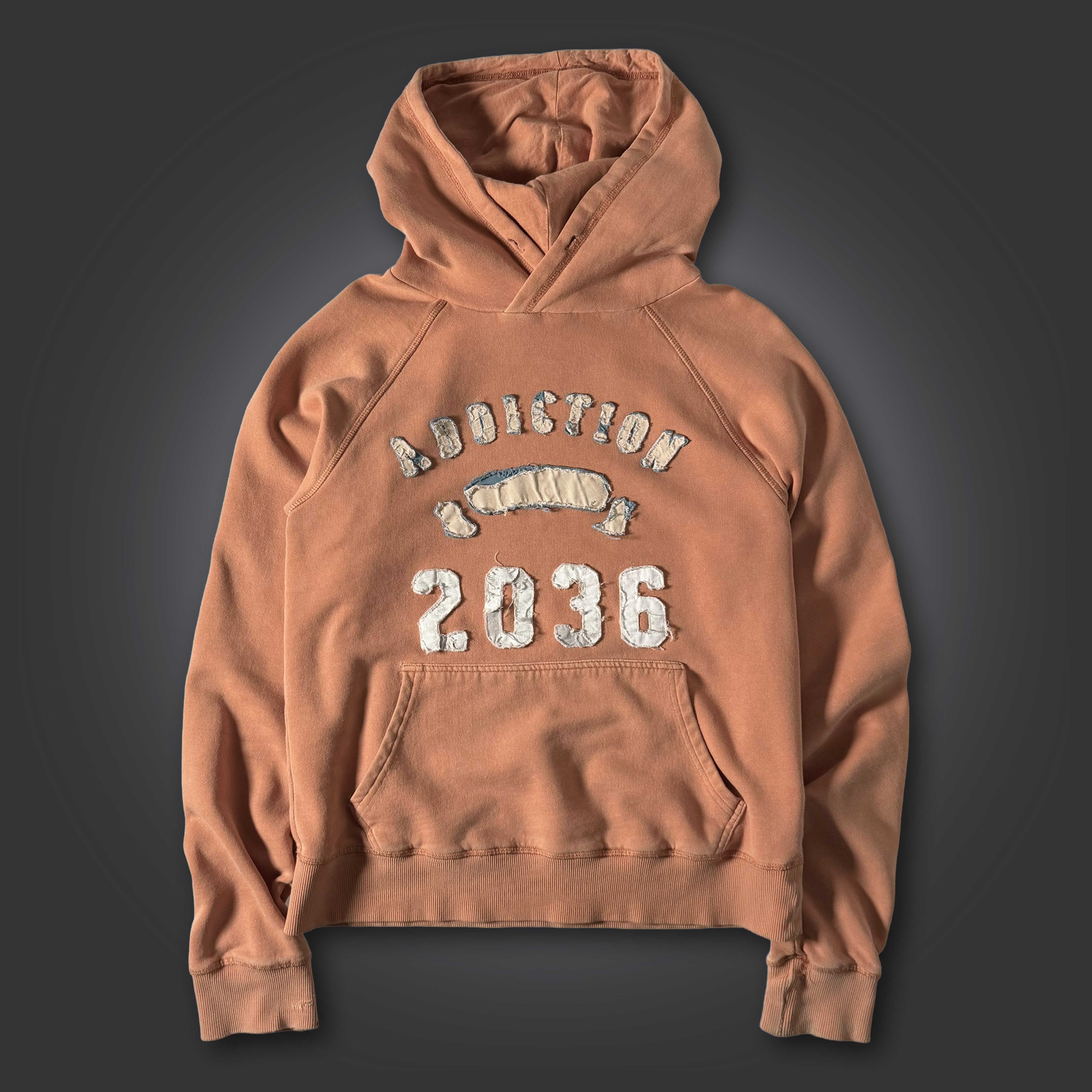 2036 Applique Hoodie