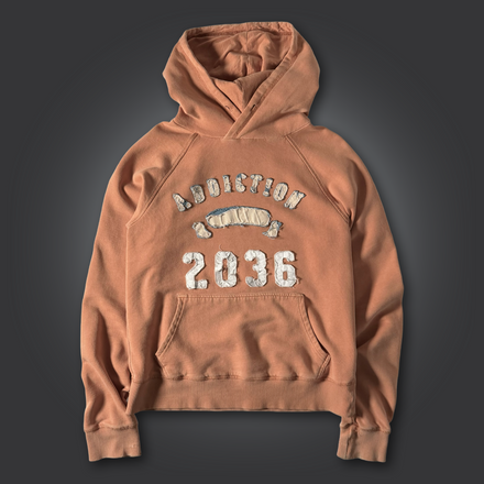 2036 Applique Hoodie