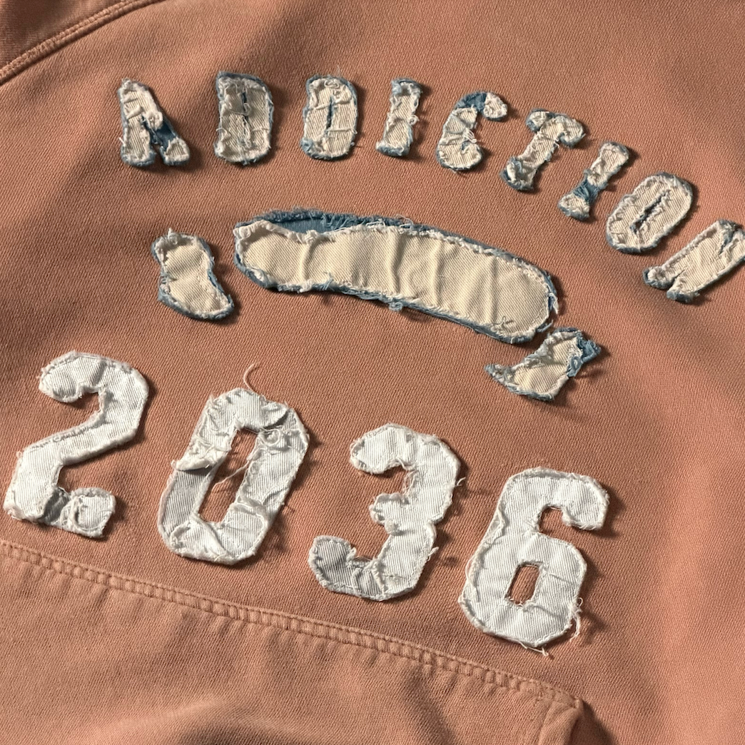 2036 Applique Hoodie